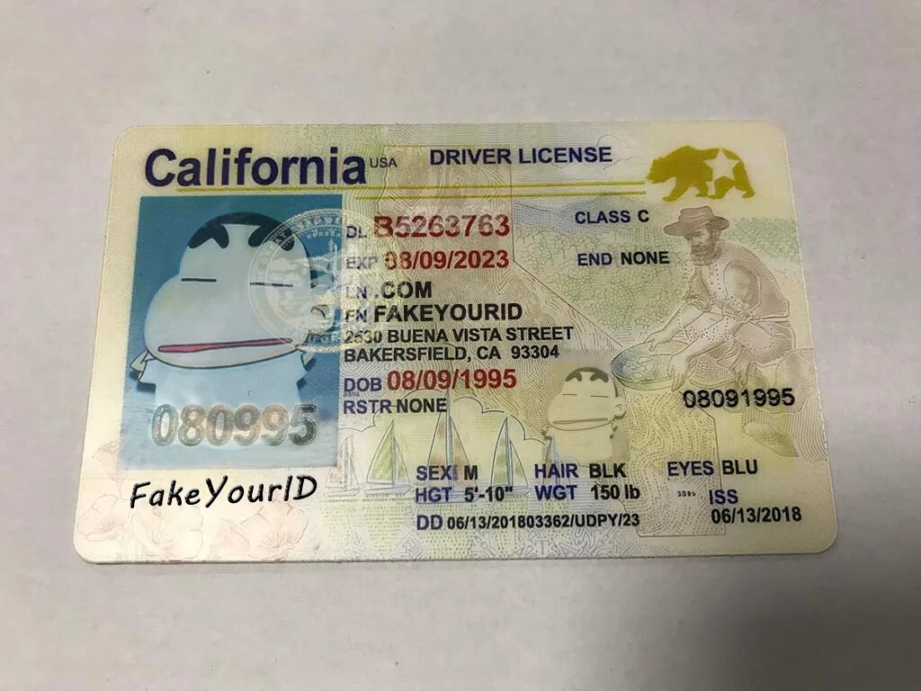 Ids license. California Driver License. California ID Card. Driver License USA California.