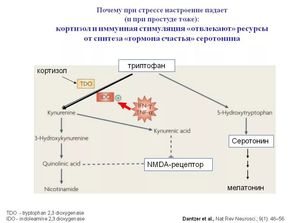 Снижение кортизола