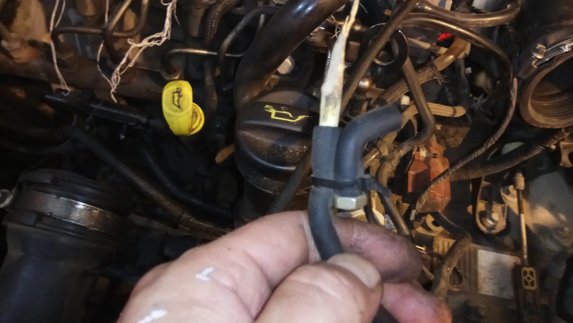 Завести форд дизель. 4. 8 дизель. Ford transit connect 1. Не заводится форд фокус.