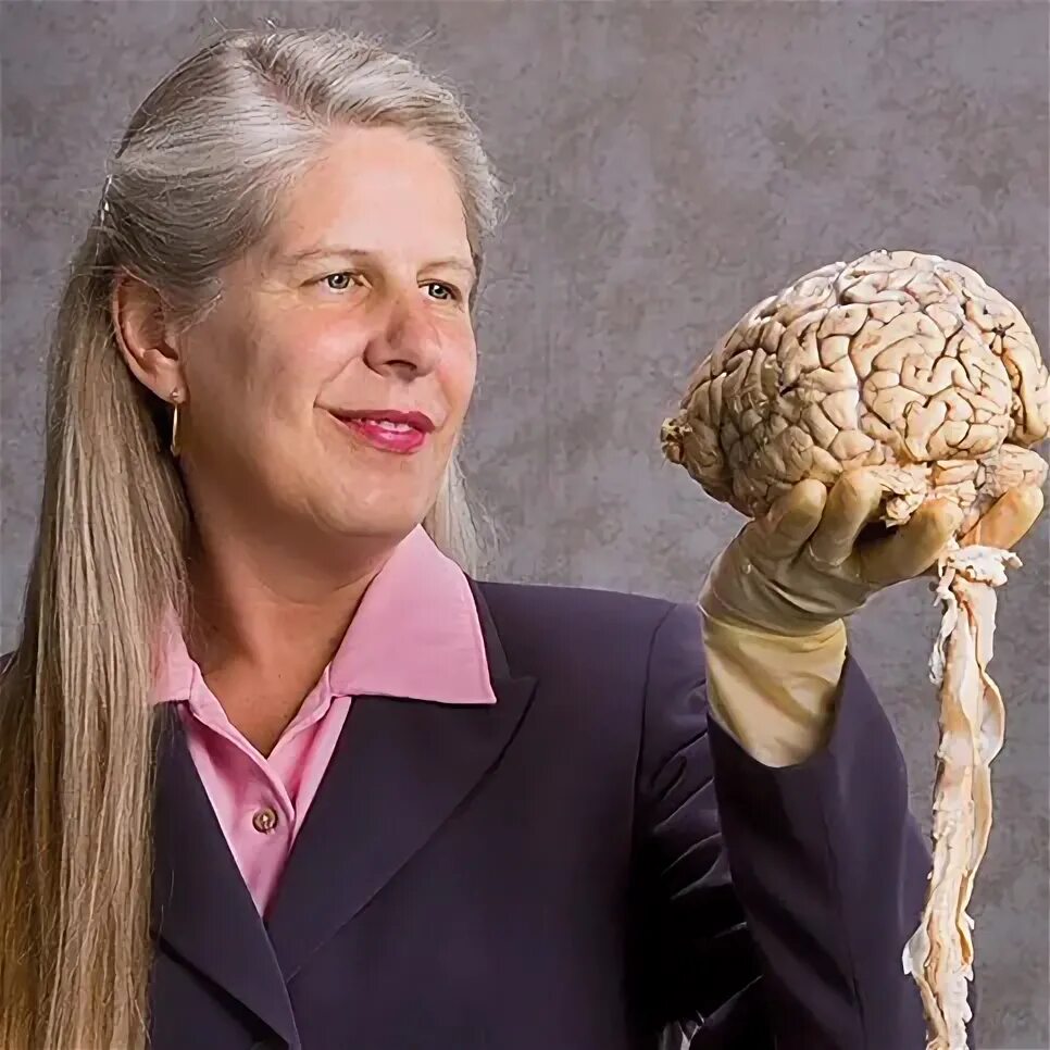 Brains talks