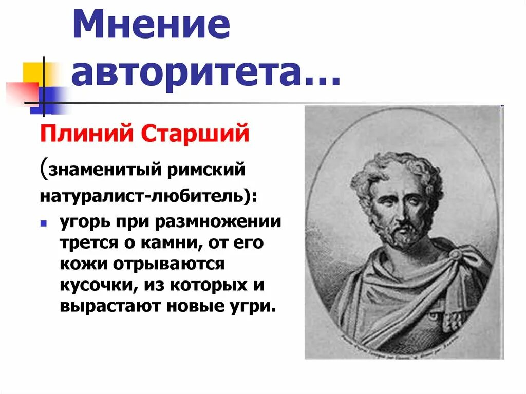 Плиний младший. Плиний римский натуралист. гален плиний старший.