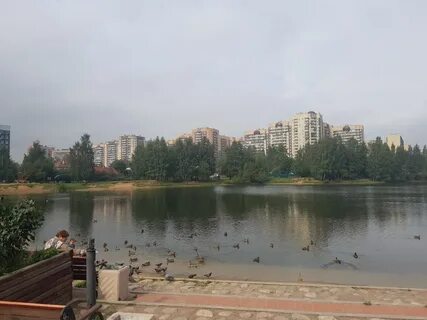 Погода новое девяткино