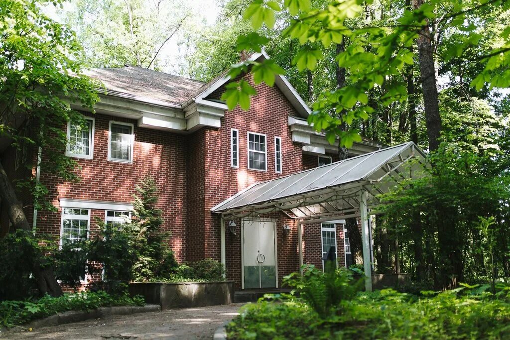 особняк усадьба сосновый бор. усадьба и лес. усадьба и лес. усадьба и лес. цвелодубово заброшенный особняк.