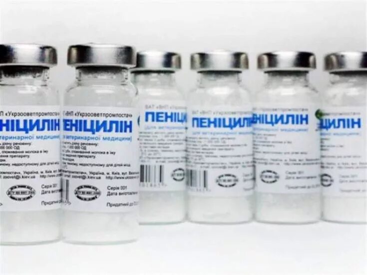 Пенициллин от чего. Группа пенициллина. антибиотики группы пенициллина. пенициллины антибактериальные. синтетические пенициллины.