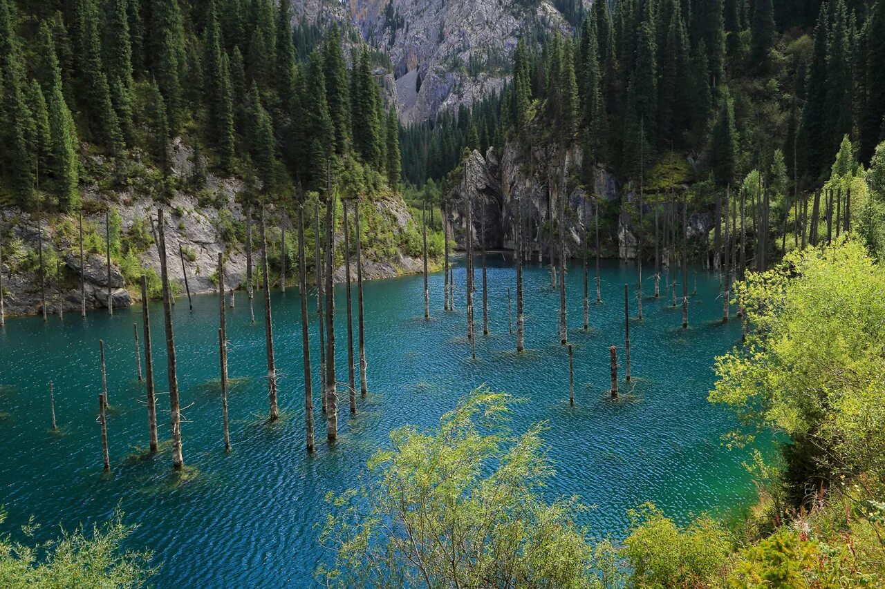 Реках и озерах казахстана. Озеро Каинды в Казахстане. Kazakhstan nature Каинды. Лес озера Каинды,. Алатау озеро Каинды Казахстан.