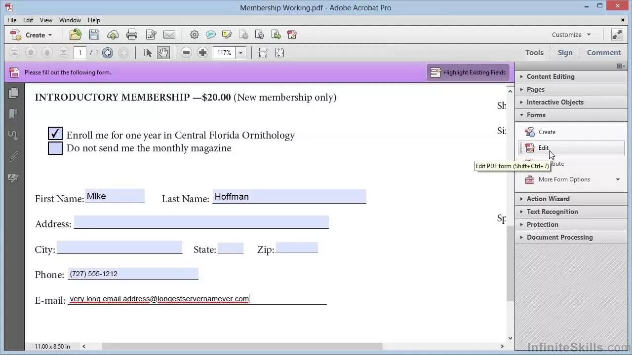 Creating a form. Forms в пдф. adobe acrobat xi pro exe. пдф файл коробки. adobe livecycle.