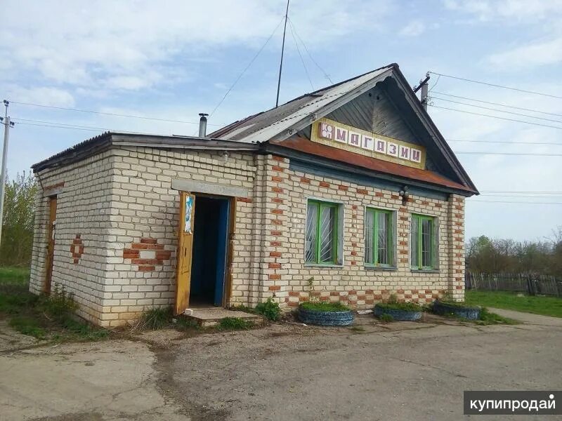 Село Поляна Перевозского района. Деревня Перевоз Нижегородская область. Поляна в Нижегородской области. Вильская Поляна Нижегородская область.