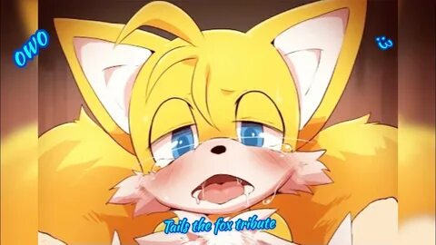 Tails meme