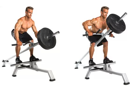 Standing row. Seated t-bar row. t-bar row упражнение. • t bar rows of 20 reps 3 sets. t bar 10 inch.