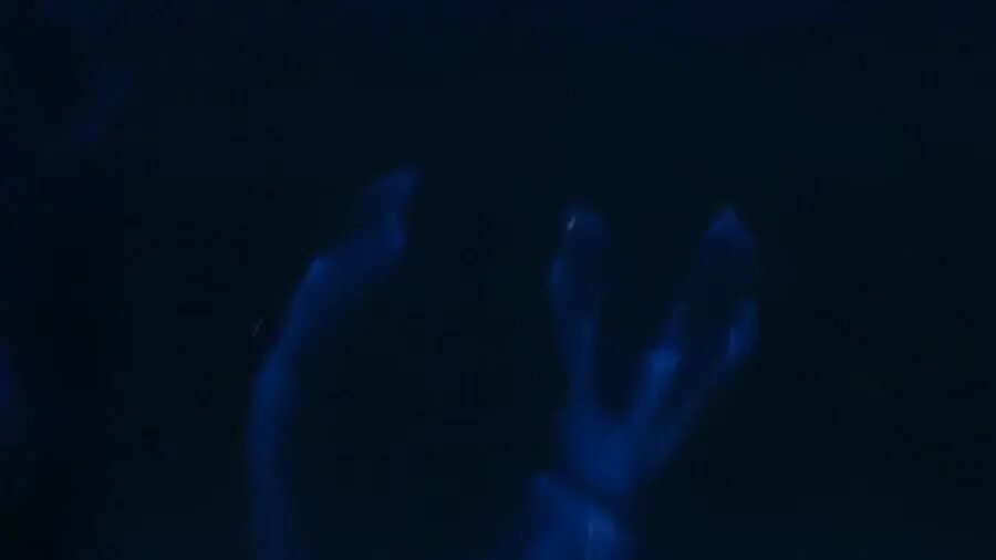 Светятся ли люди в темноте. Костюмы светящиеся в ультрафиолете. Человек под ультрафиолетом. Насекомые в ультрафиолете. Человек светится в темноте.