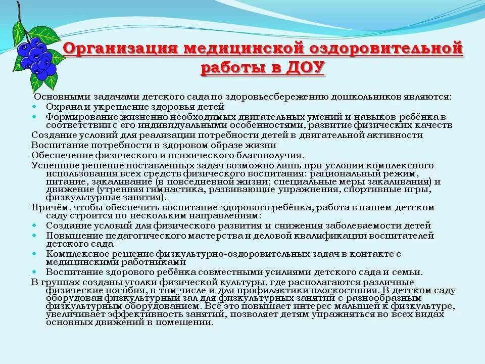 Инструктаж по охране жизни и здоровья детей. Мероприятия по оздоровлению детей. Задачи медицинской работы в ДОУ. Мероприятия по оздоровлению дошкольников. Профилактические мероприятия в детском саду.