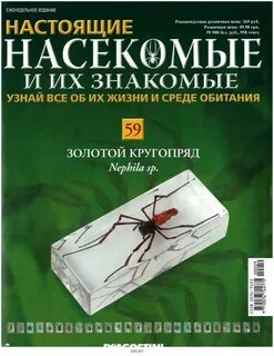 Настоящие насекомые