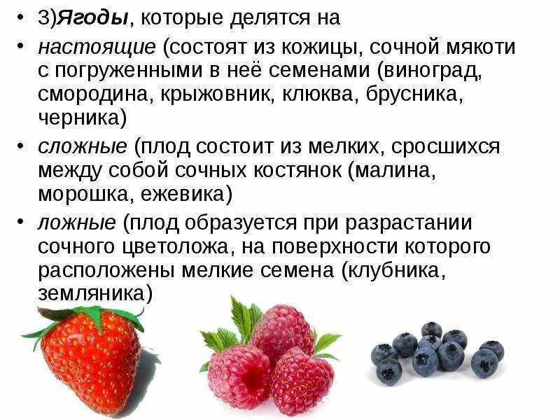 Ягоды описание. Характеристика ягоды. Классификация ягод. Сложные ягоды состоят из. Ягодка характеристика