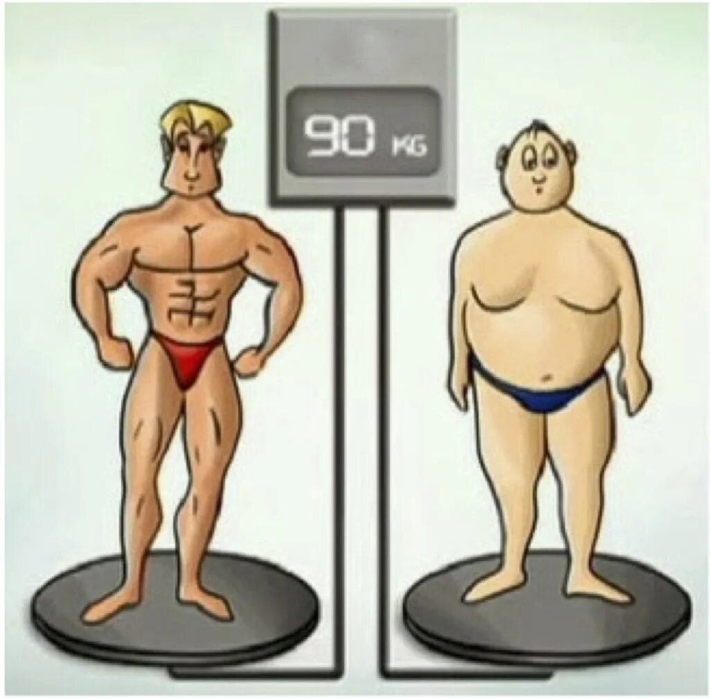 Какими становятся люди весы. Изображение веса тела. Масса тела человека. Один вес Разное тело. СТО килограмм могут выглядеть по разному.