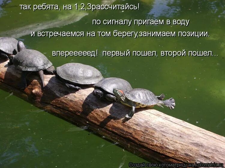 на 1 2 3 рассчитайсь. команда рассчитайсь. литературные считалки. на раз два рассчитайся. армейский юмор.