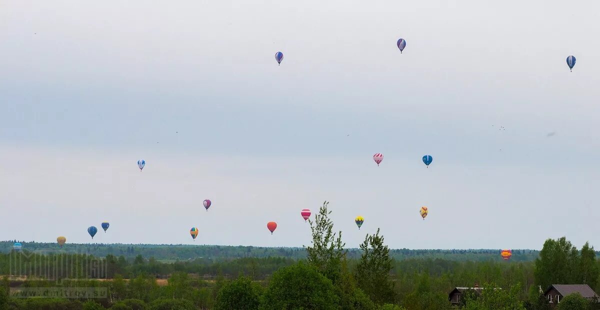 Яхрома 10 день. Шары Великие Луки воздухоплавание. Полет на воздушном шаре Дмитров. Воздушные шары над Дмитровом. Воздушные шары в небе Дмитров.