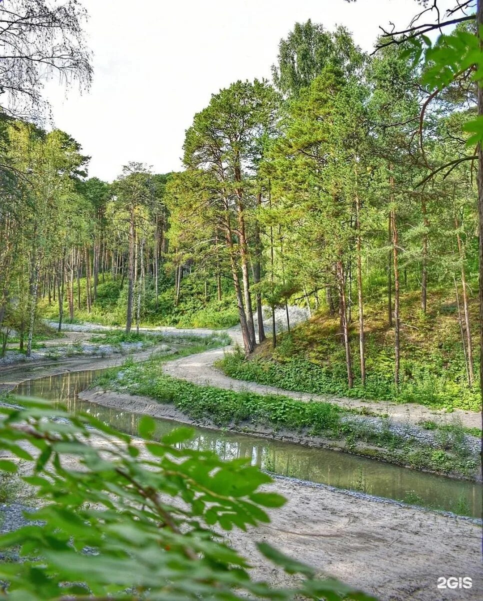 гилевская роща тюмень официальный сайт. парк гилёвская роща тюмень. гилевская роща горки тюмень. тюмень улица гилевская роща 4 2 банивам. тюмень улица гилевская роща 4 2 банивам.