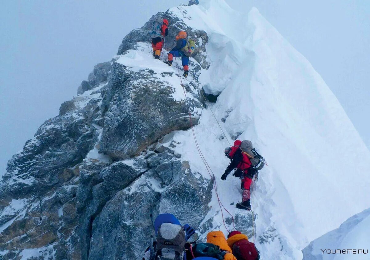 Everest c