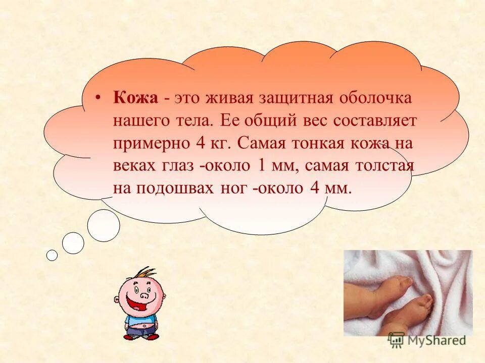 Интересные факты о покровах тела. Значение кожи для человека. Вся информация о коже человека. Кожа одежда нашего тела сообщение 3 класс. Кожа одежда нашего тела сообщение 3 класс.