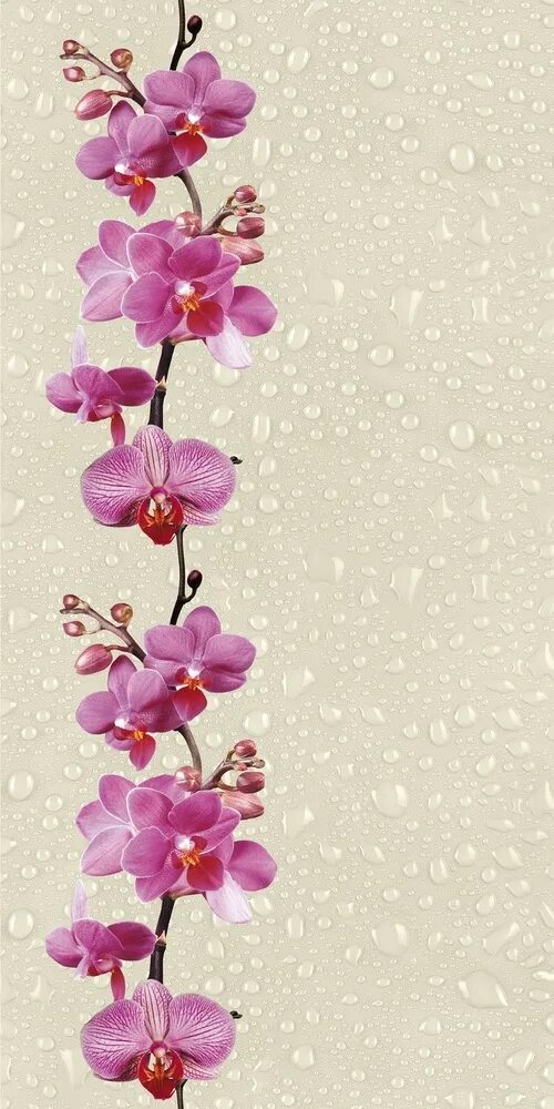 Панель ПВХ "розовая Орхидея " 0,25х2,7 м. Панель пвх орхидея