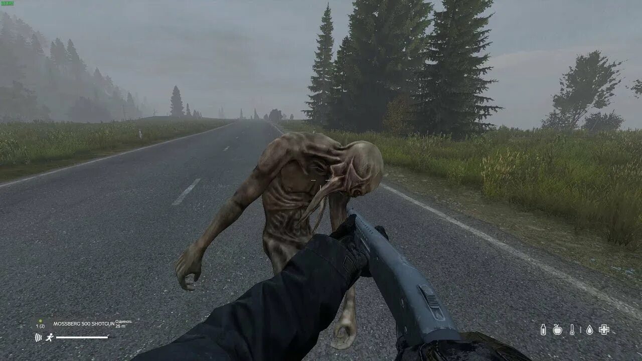 Вдали от жен dayz. Dayz fidov.