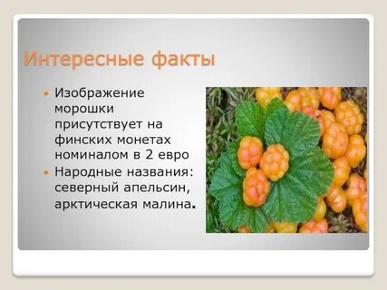 Как подключить ребенка к морошке