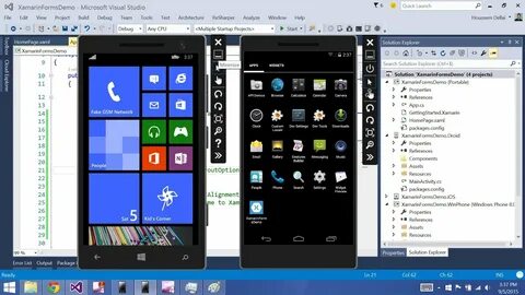 Visual studio package
