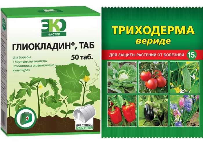 Препарат против болезней. Триходерма Глиокладин. Фунгицид Триходермин. Триходермин биопрепарат. Триходермин биофунгицид.