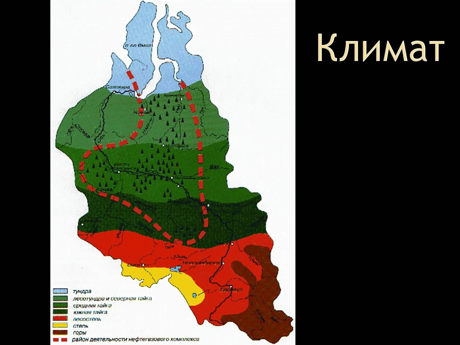 Западно-Сибирская равнина климат карта. Западно-Сибирский экономический район климатический пояс. Климат Западной Сибири карта. Климатическая карта Западно сибирской равнины.