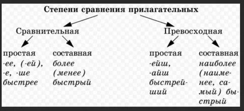 Особенности прилагательных в русском языке