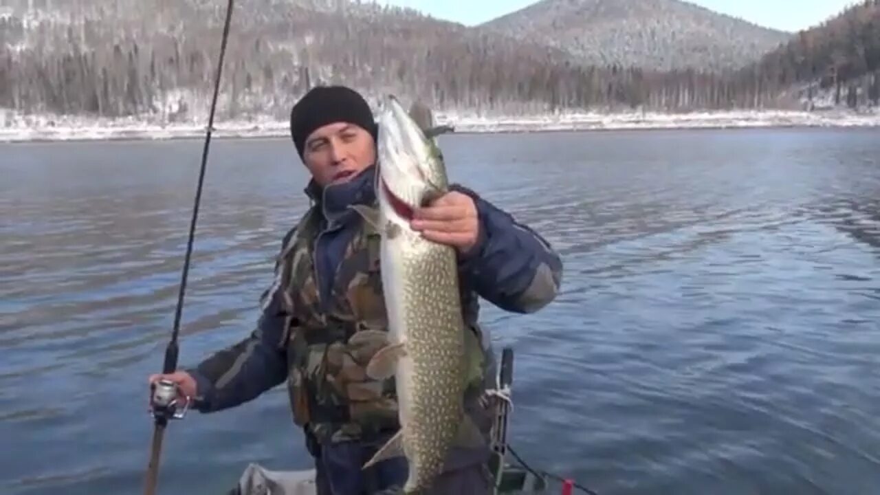 Щука красноярск. Красноярское водохранилище Бирюсинский залив рыбалка. Рыбалка Красноярск Бирюсинский залив. Залив Кривляк Красноярское водохранилище. Красноярское водохранилище залив Бирюса.