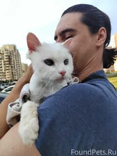 Ветеринар посоветуйте