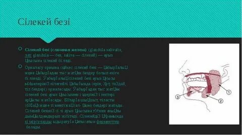 Тамағына арналған ХХХ минет