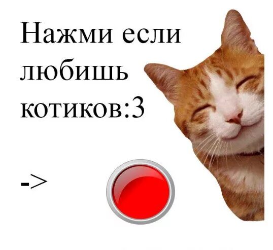 Нажми кнопку продолжай. Нажми на меня. картинка нажми на меня. жми меня. картинки нажми 2 раза.