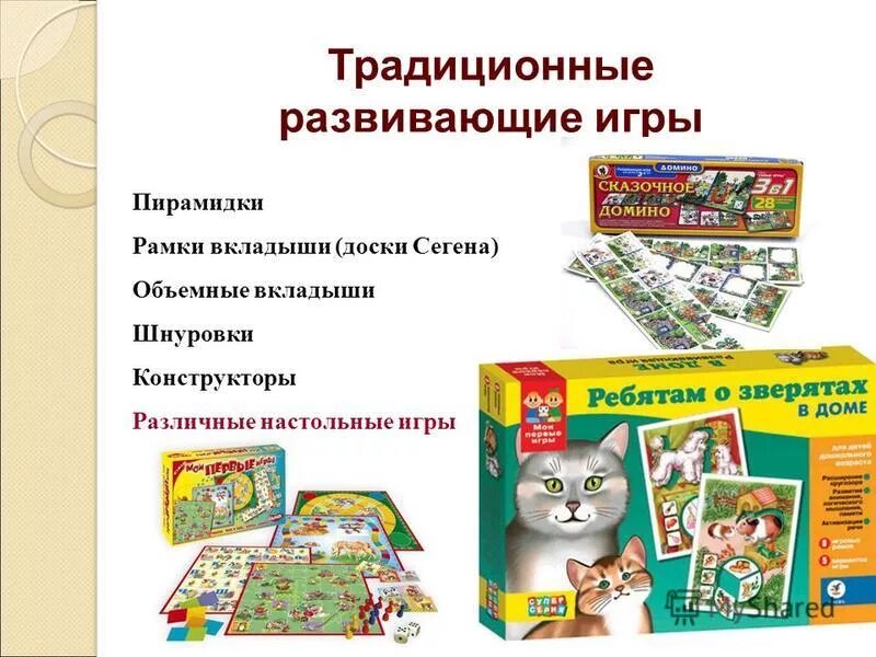 Риски при реализации программа развития. Вариативность учебных программ для начальной школы. Традиционные и развивающие программы. Традиционные и развивающие программы. Системы обучения в начальной школе.