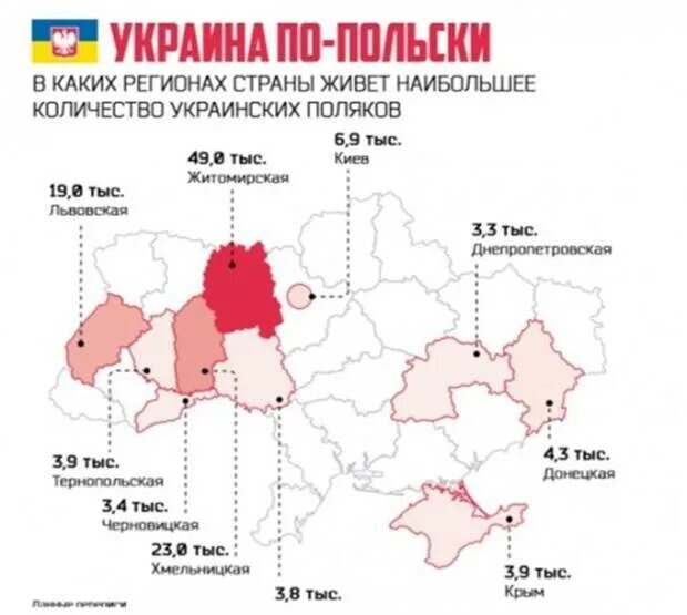 Сколько поляков на украине. Польское население Украины. Где проживают поляки. Украина карта население поляки. Территории на которых живут поляки.