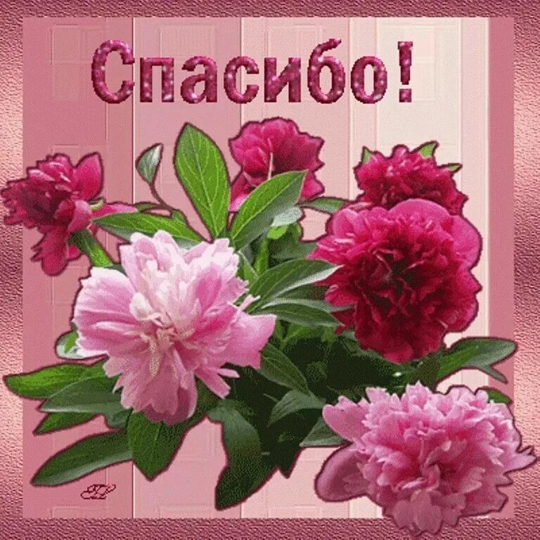Спасиб. Открытка спасибо. открытки спасибочки. спасибо открытки красивые. открытки спасибо большое.
