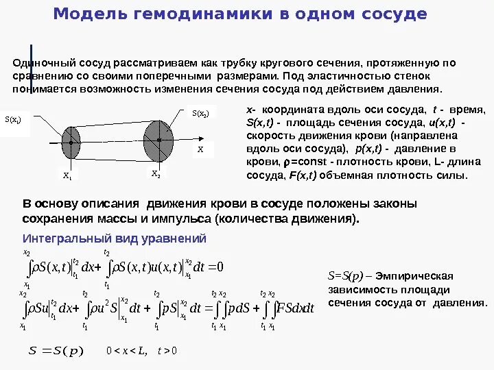 Площадь поперечного сечения сосудов. Ось сосуда. площадь сечения сосуда. продольная ось сосуда. площадь поперечного сечения сосуда формула.