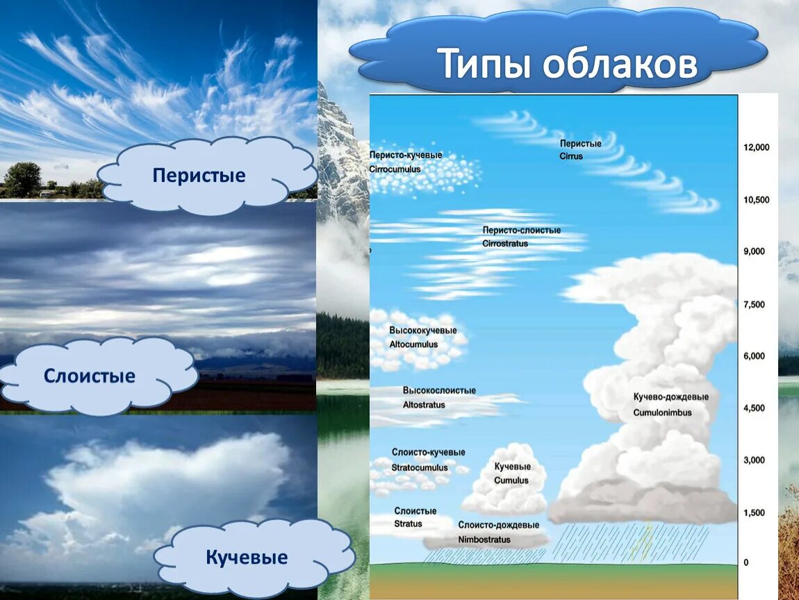 Город облаков коды. Облака Кучевые перистые Слоистые. Перистые Слоистые кучерявые облака. Перистые, перисто-Слоистые, перисто-Кучевые облака. Перистые,Слоистые, кучево дождевые, Кучевые облака.