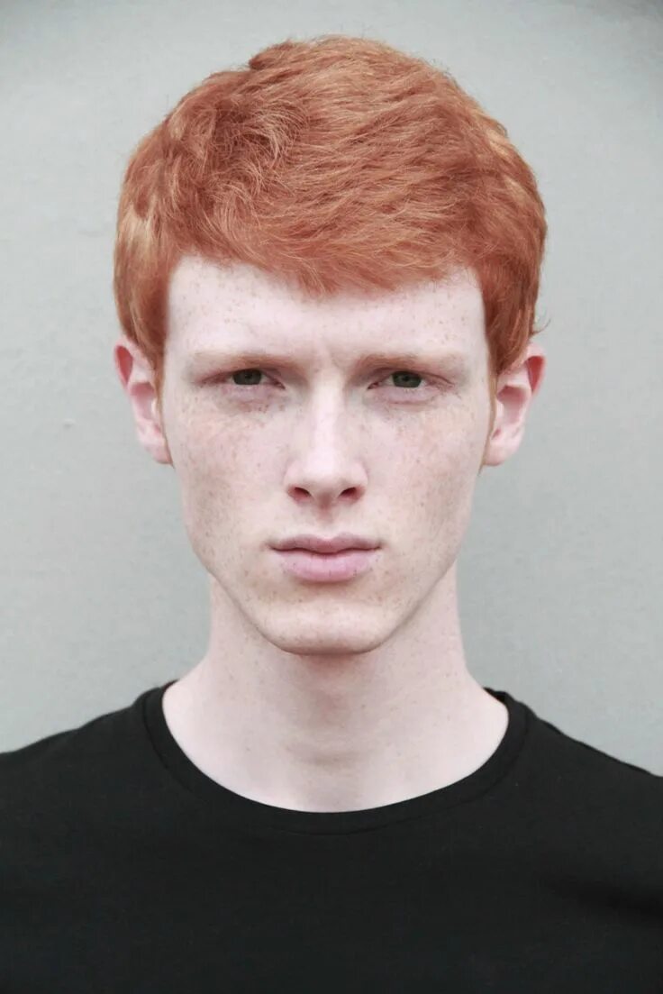 Linus Wordemann. Linus Wordemann модель. Linus Wordemann рост. Linus Wordemann лысый. Young redheads