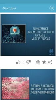 Факт дня