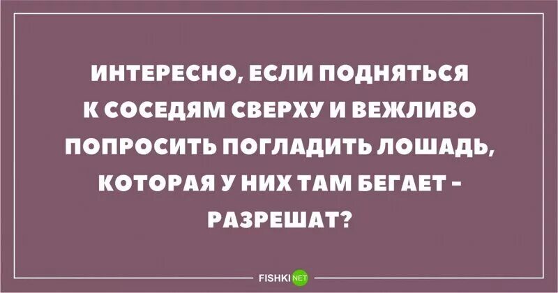 Попросил погладить. Соседи сверху. Если попросить соседей погладить лошадь интересно. Соседи топают. Интересно если подняться к соседям и попросить погладить.