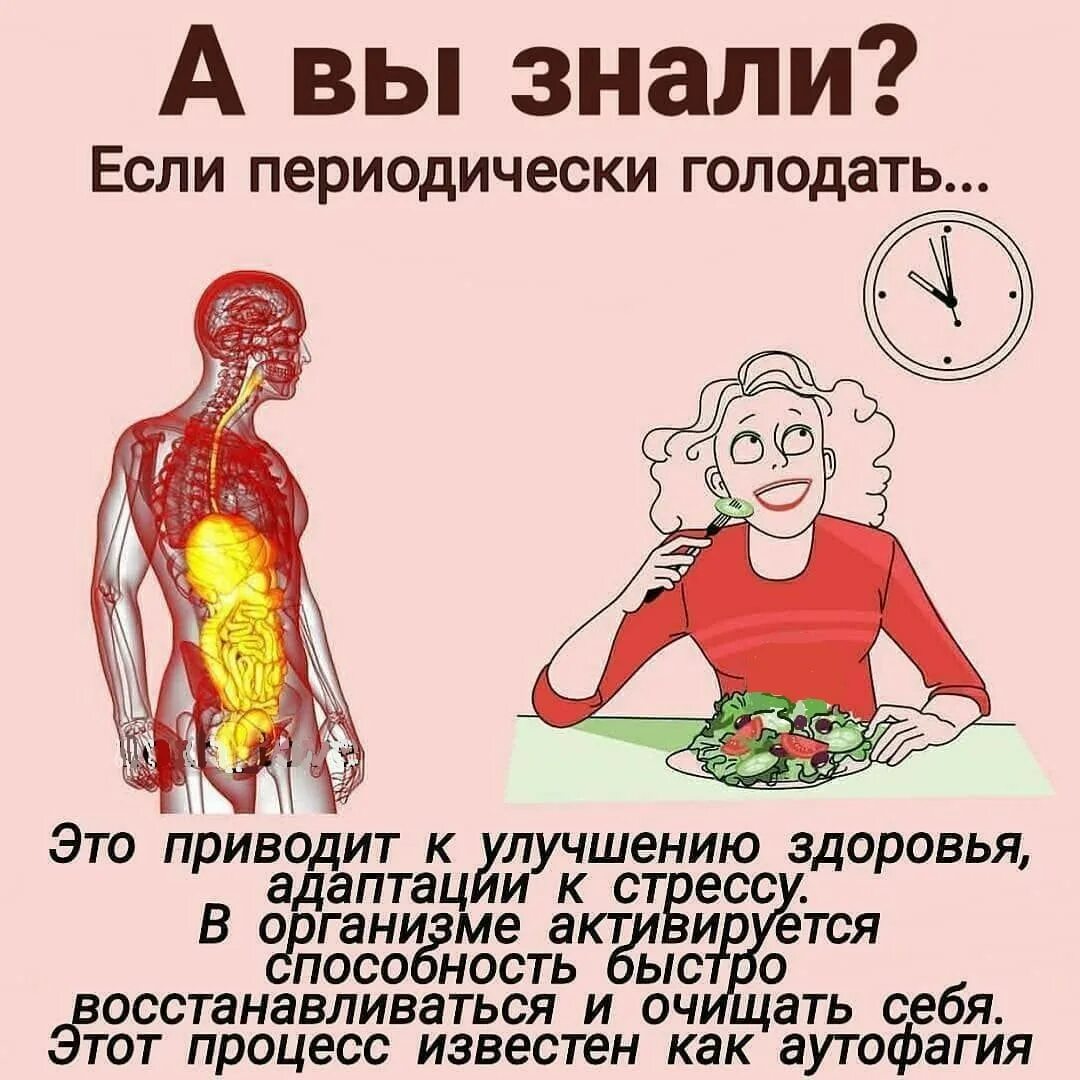 Польза голода. Лечебный голод. Чем полезен голод. Голодать полезно. Тело голодной