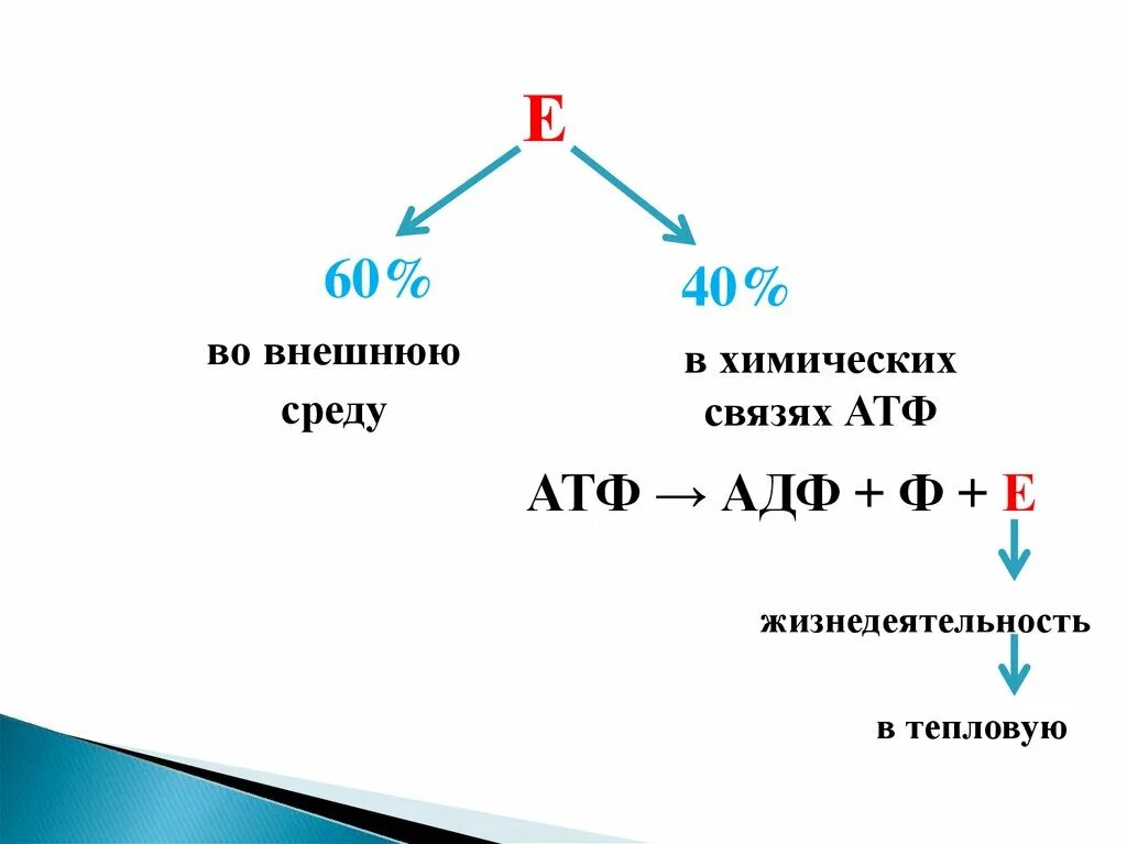 Химические связи атф