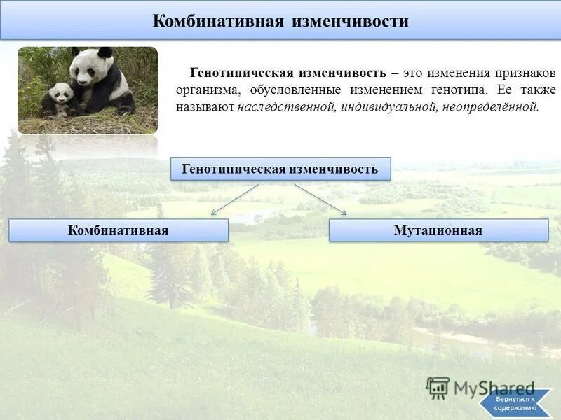 Изменчивость не связанная с изменением генотипа. Изменчивость связанные с изменением структуры днк это. Закономерности изменчивости мутационная изменчивость. Изменчивость не связанная с изменением генотипа. Изменчивость связанная с изменением генотипа определенная неопределенная.