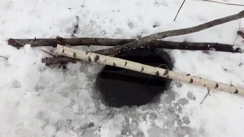 Петля на бобра видео