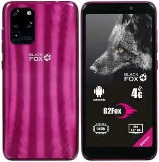 Black fox 2