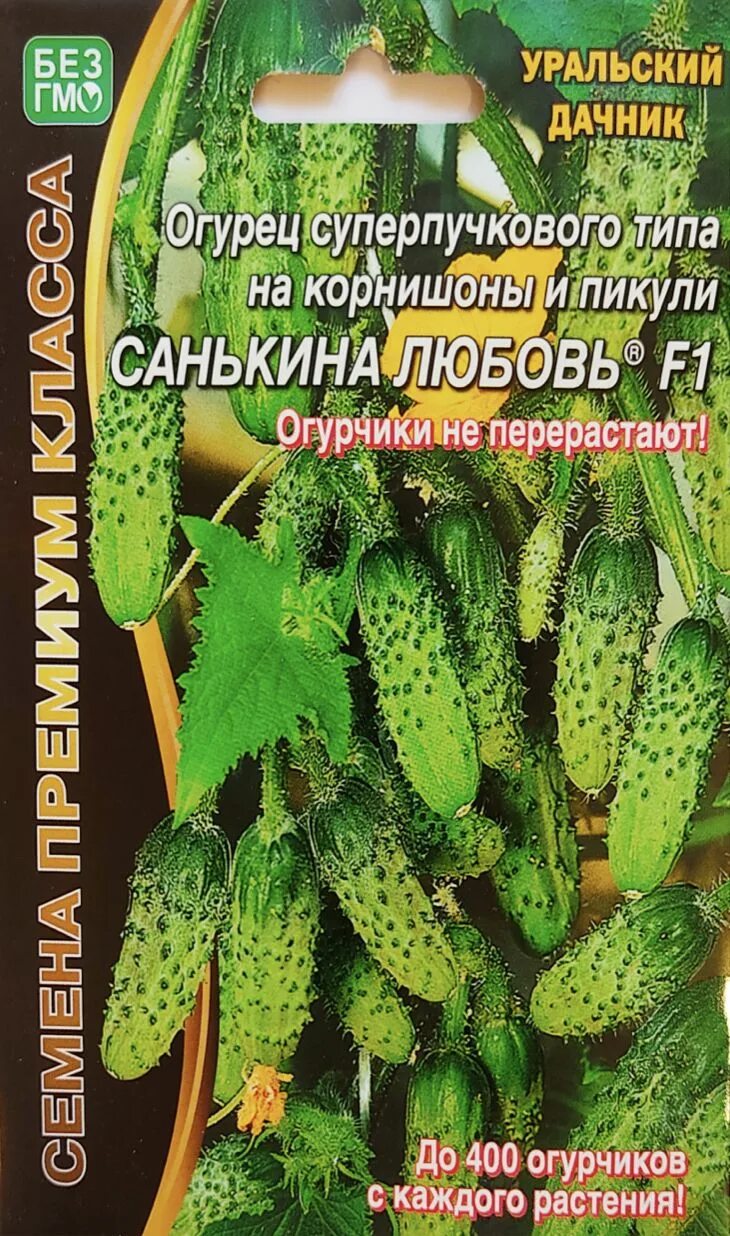 Огурцы санькина любовь описание и отзывы