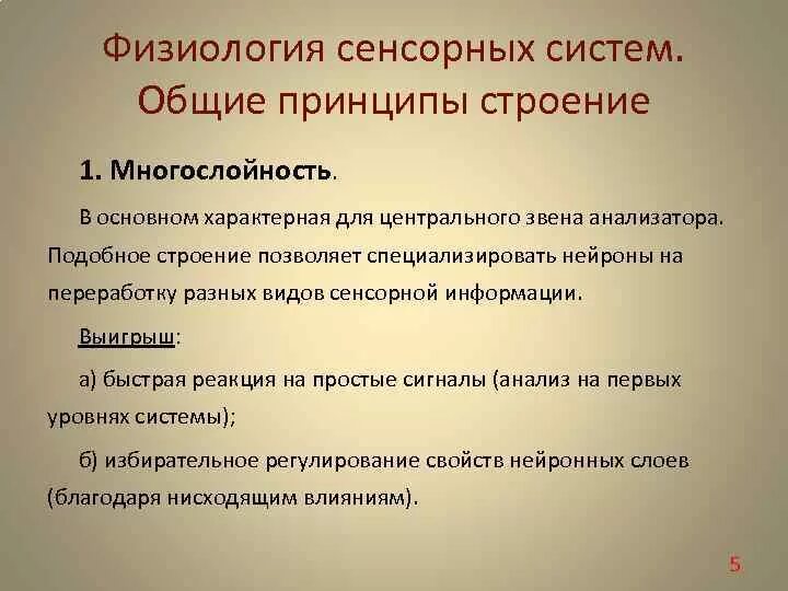 Тема сенсорная система. Дифференциация сенсорной системы по вертикали. Физиологическая характеристика сенсорных систем. Сенсорные воронки анализаторов. Основные принципы строения сенсорных систем.