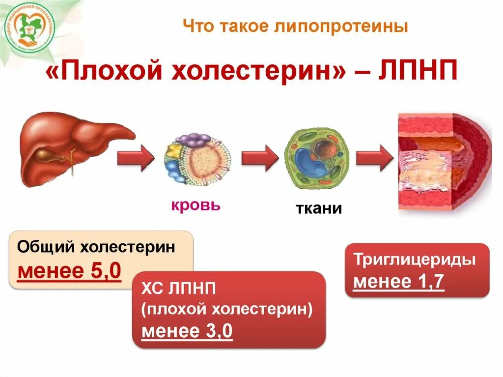 Плохой холестерин 3 3